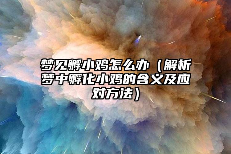 梦见孵小鸡怎么办（解析梦中孵化小鸡的含义及应对方法）