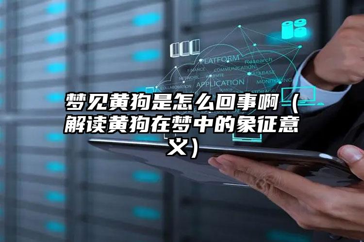 梦见黄狗是怎么回事啊（解读黄狗在梦中的象征意义）