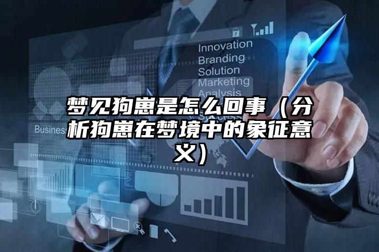 梦见狗崽是怎么回事（分析狗崽在梦境中的象征意义）